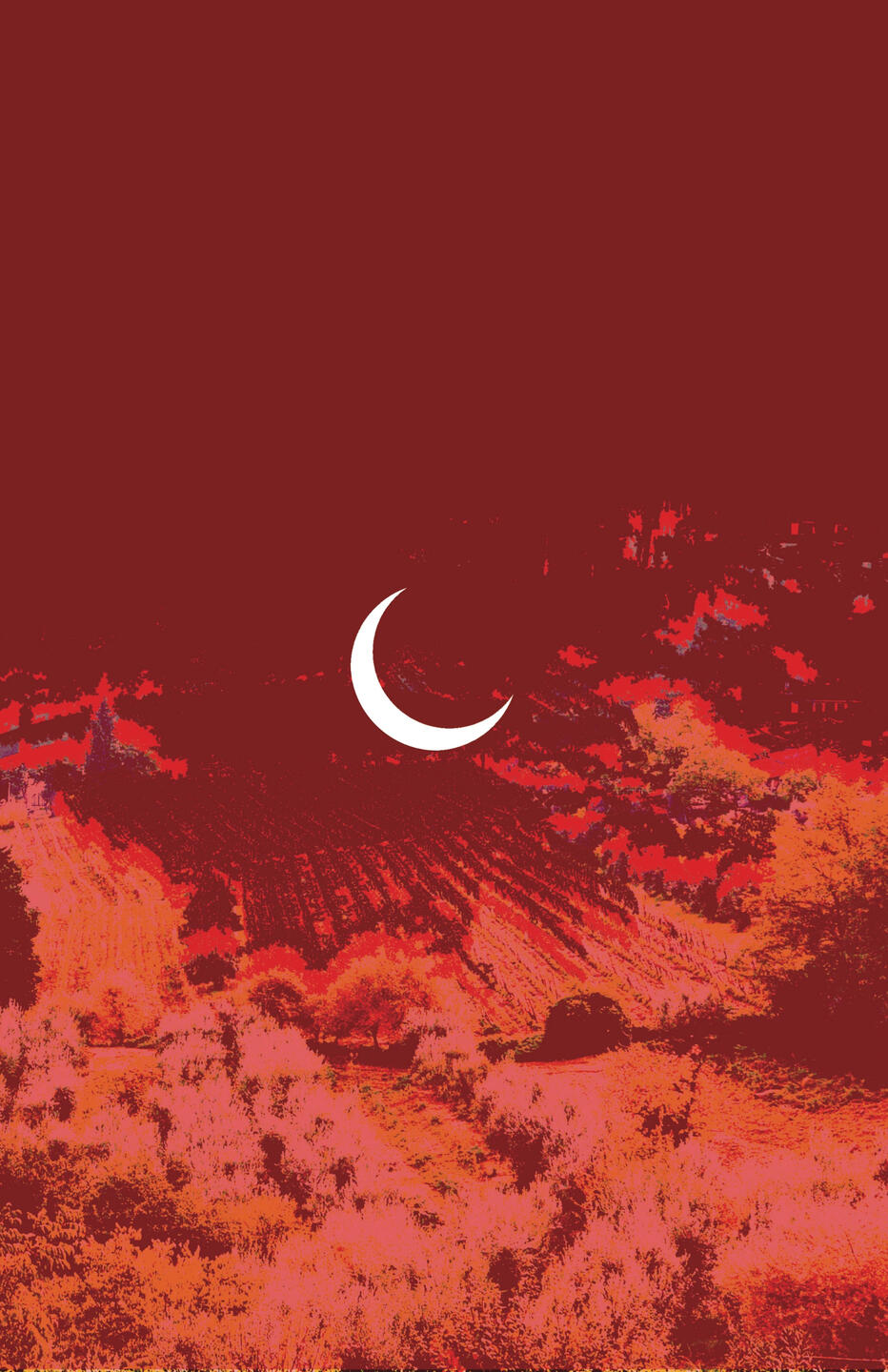 AUTUMN 2017 | Sherry Luo, Jaime Robles, Nicholas Fuenzalida, Eleni Padden, Genelle Chaconas, Curtis Romero