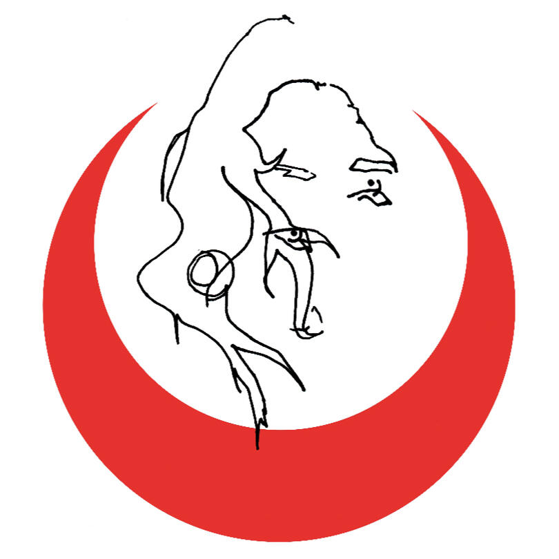 DREAM BOOK OF FEZ | Anne Waldman